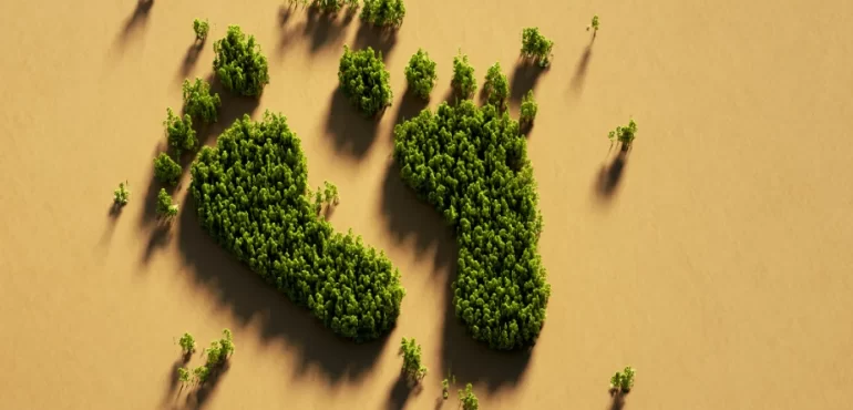 NOx Sensörleri ve Karbon Ayak İzi