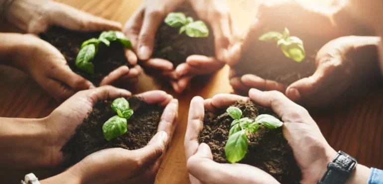 Basında Biz Fortune Türkiye